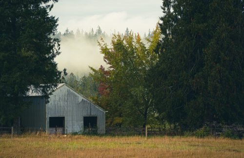 barn and mist capella farm